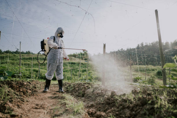 Best Best Pest Control Companies  in Manson, WA