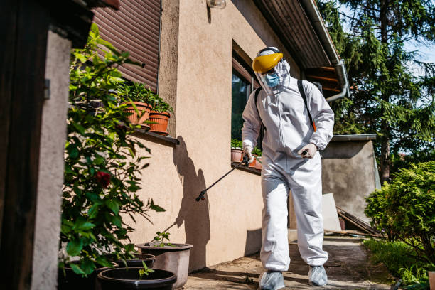 Best Wasp Removal Services  in Manson, WA