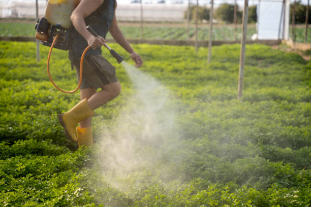 Best Best Pest Control Companies  in Manson, WA