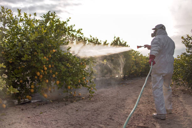 Best Pest Prevention Services  in Manson, WA