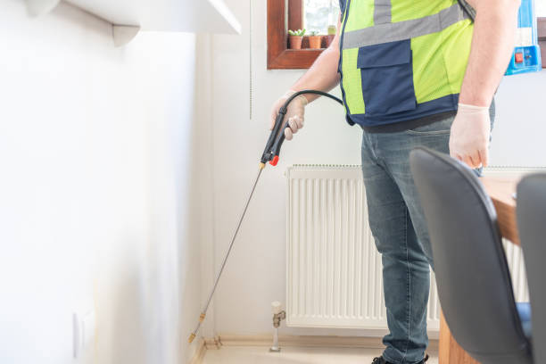 Best Rat Extermination Near Me  in Manson, WA