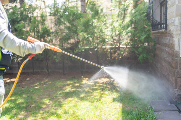 Best Residential Pest Control  in Manson, WA