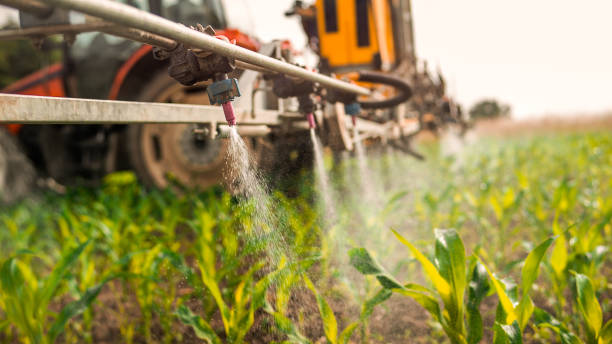 Best Pest Prevention Services  in Manson, WA