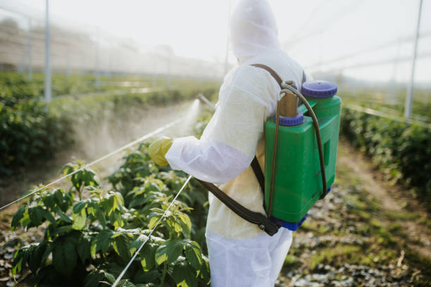 Best Wildlife Control Services  in Manson, WA